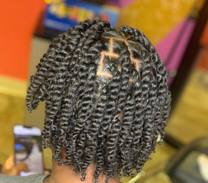 Perfect Twist Out